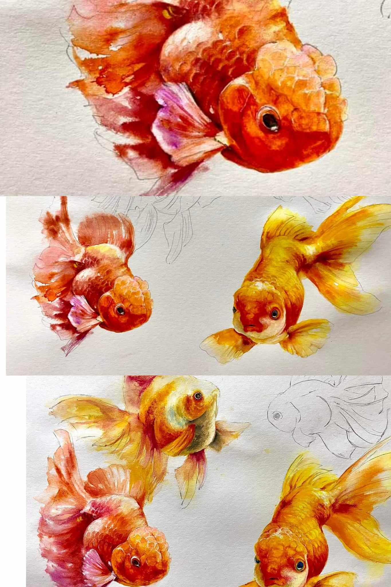 廣彩重彩課 【金魚花火 】