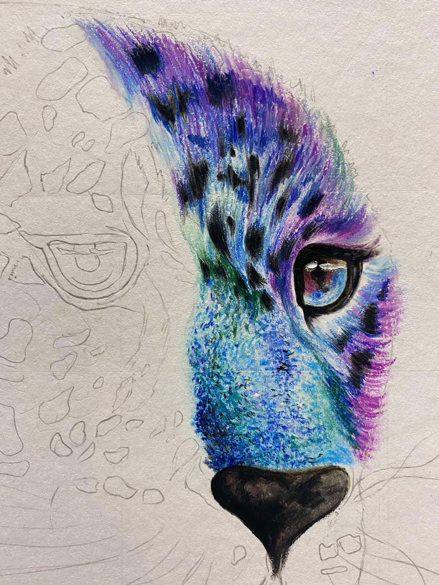 蠟筆動物線上課《幻彩花豹》