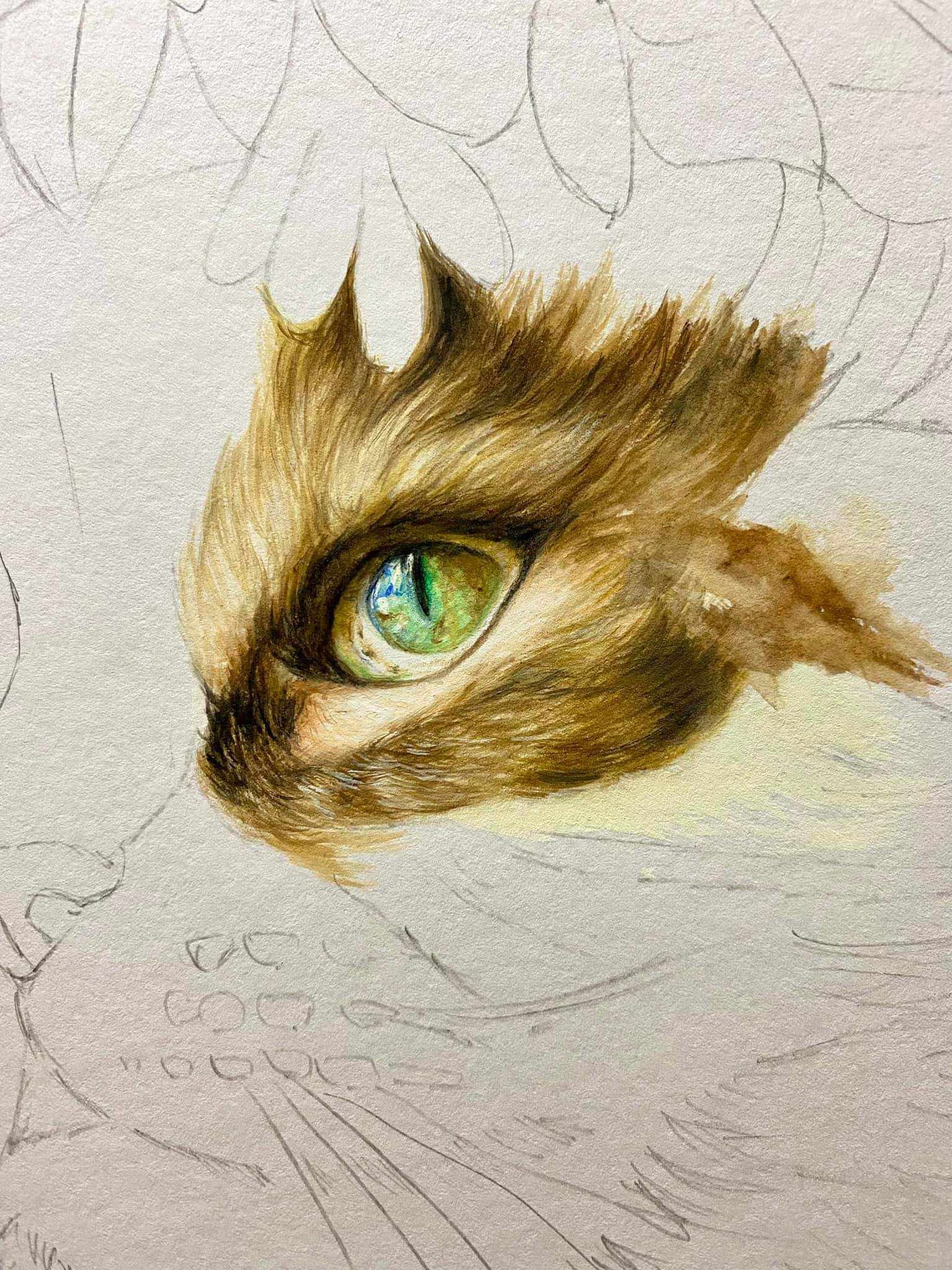 廣彩重彩課【萌宠猫星人】