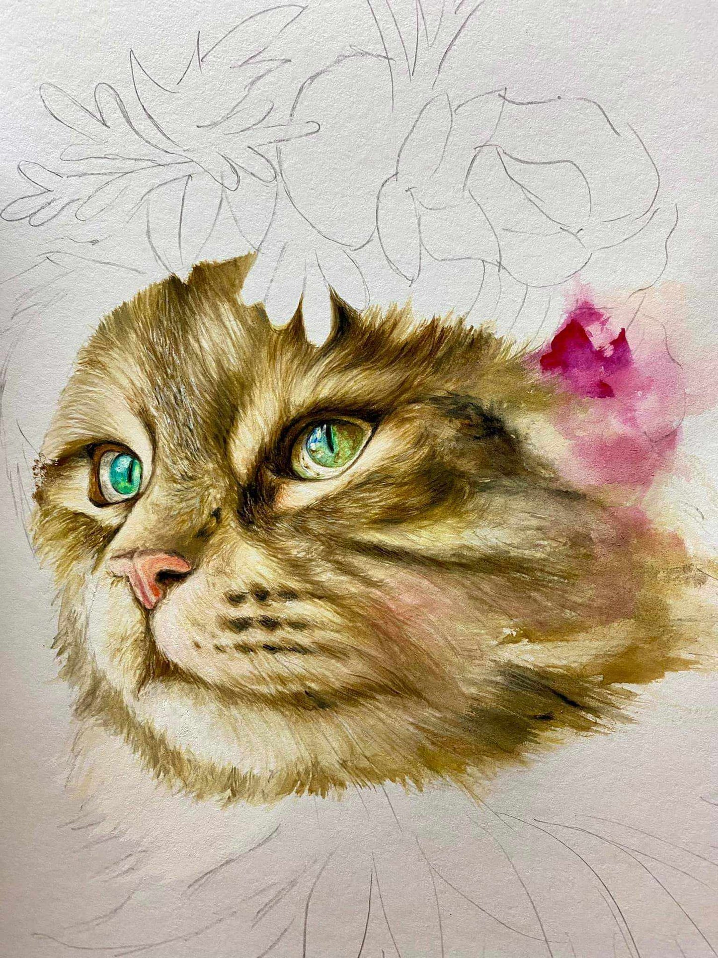 廣彩重彩課【萌宠猫星人】