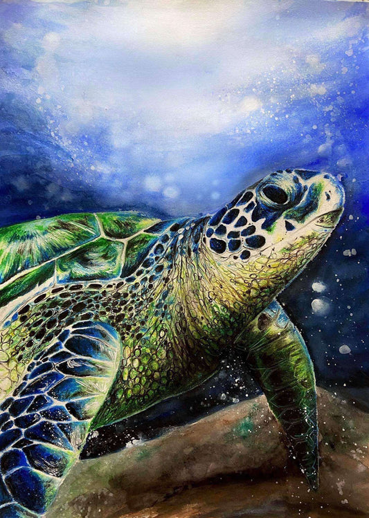 蠟筆動物線上課《海龟漫游记》