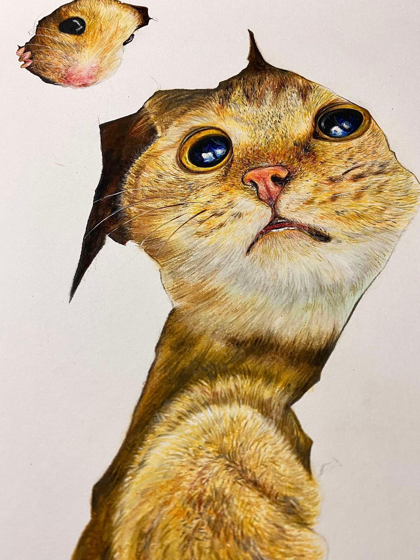 蠟筆動物線上課<捉迷藏>